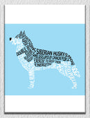 Blue Background Husky Wall Art