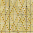 Raga Geometric Wallpaper