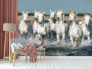 Running View Horse Wallpaper