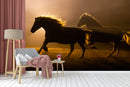 Horses Customised Wallpaper