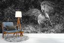 Horses Customised Wallpaper
