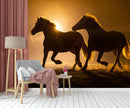 Glowing Sun Scenery Horse Wallpaper