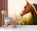 Horses Customised Wallpaper