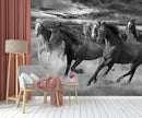 Black And White Cinematic Themed Horse Wallpaper
