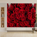 Bunch of Red Roses Wallpaper