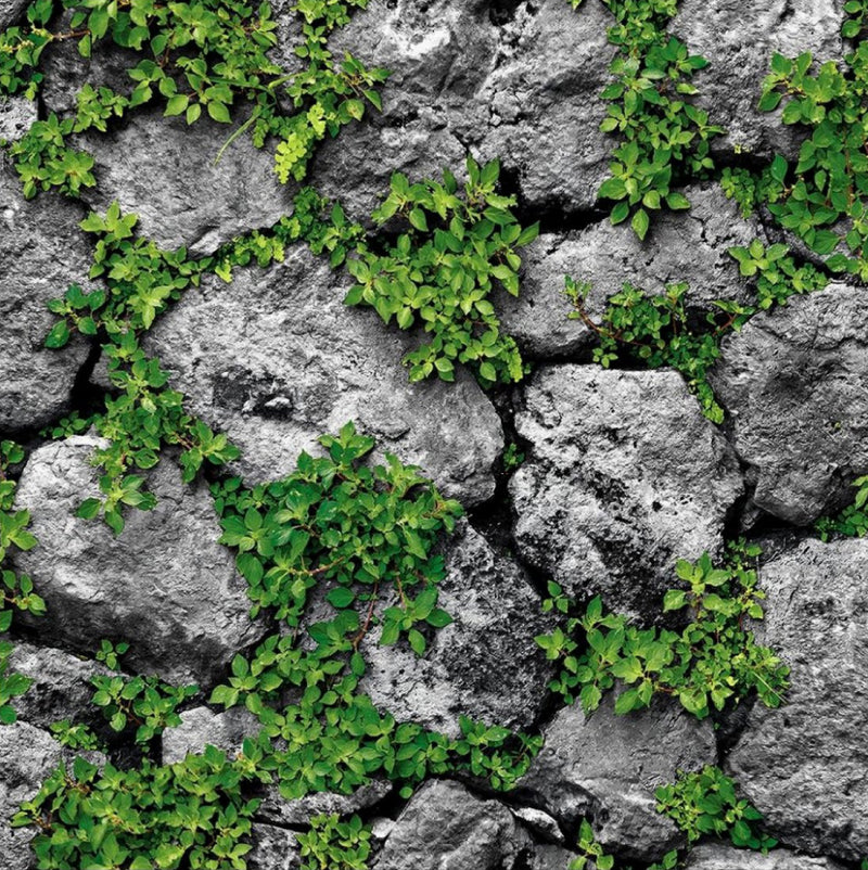 Lakshadweep Stone Texture Wallpaper