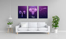Aries Zodiac Sign Art, Set Of 3