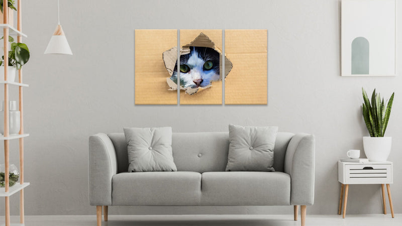 Cat Through The Board Wall Art 1, Set Of 3