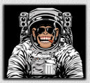 Monkey Space Black White Art