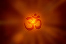 Om In Light Shades Self Adhesive Sticker Poster