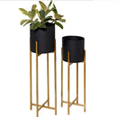 Set of 2 Golden Metal Planter with Black Pot