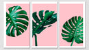 Monstera Wall Art, Set Of 3