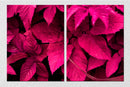Black And Pink Leaves Wall Art, Set Of 2