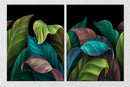 Multicolour Leaves On Black, Set Of 2