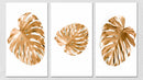 Brown Monstera Leaf Wall Art, Set Of 3