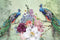Peacock Brilliance Wallpaper