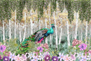 Peacock Dreamscape Wallpaper