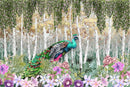 Peacock Dreamscape Wallpaper