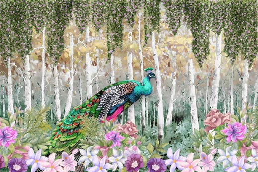 Peacock Dreamscape Wallpaper