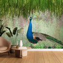 Peacock Paradise Wallpaper