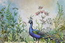 Peacock Whimsy Wallpaper