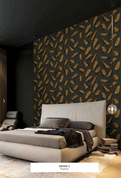 Focus Feather Design Wallpaper