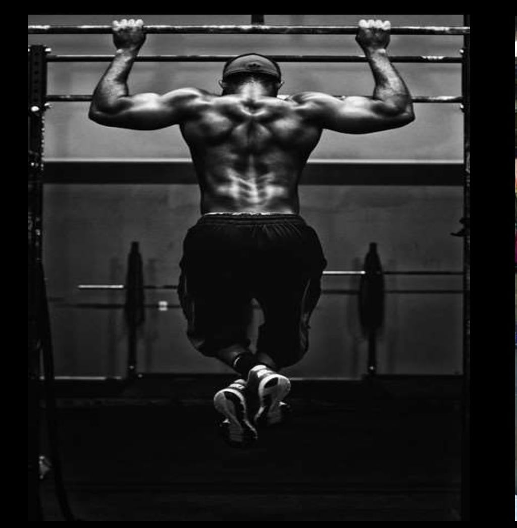 Spine Major Muscle Gym Wallpaper