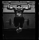 Spine Major Muscle Gym Wallpaper