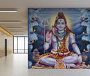 Lord Shiva Wallpaper