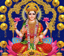 Wealthy Wonders Lakshmi Ji Wallpaper