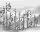 Balck And White Spring Wallpaper