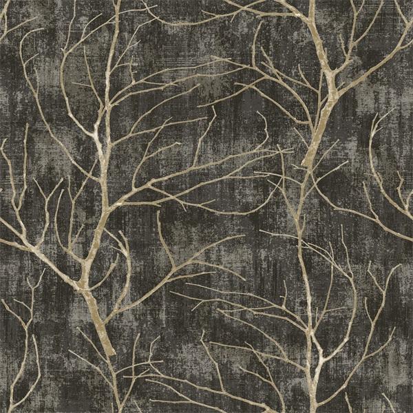 Shine Tree Branches