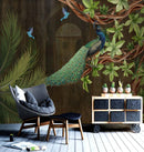 Feather Kingdom Wallpaper