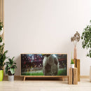 Football Sport Sticker