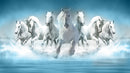 White Horses Sticker
