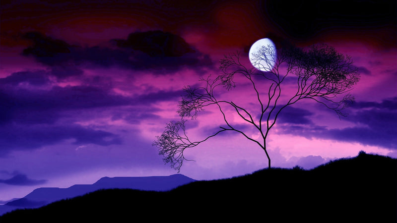 Moon Under Purple Sky  wall covering