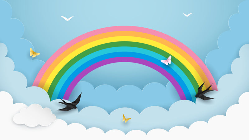 Rainbow Bird Sticker