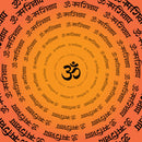 OM Namah Shivay Customised WallCoverings