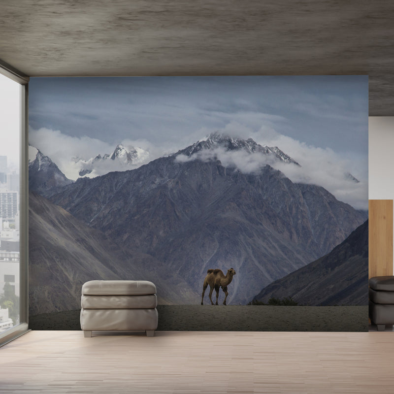 Camel Snow Mountain Wallpaper