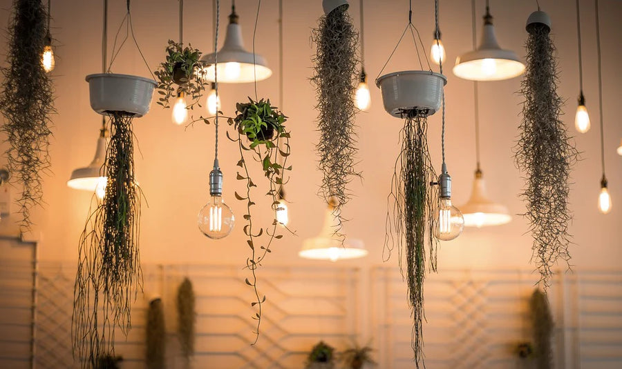 Cheugy Home Decor Blog: Ideas around how to create a blog that helps people looking to get rid of their outdated décor and home decor products.