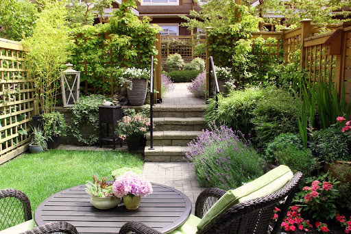 Tips for a Successful Terrace Gardening: A blog around how to start off your terrace garden.