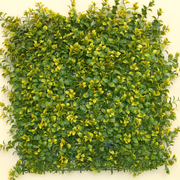 NatureScape Artificial Vertical Garden