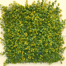 NatureScape Artificial Vertical Garden