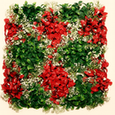 Appealing Artificial Vertical Garden