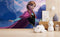 Anna Frozen Movie Theme Disney Wallpaper