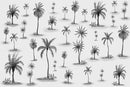 Beautiful Black And White Themed Tropical Wallpaper