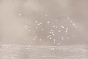 Birds Flying In Overcast Weather Theme Abstract Wallpaper