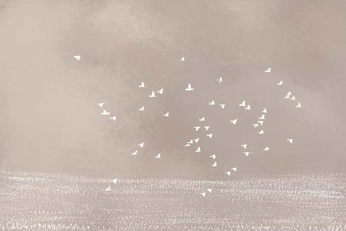 Birds Flying In Overcast Weather Theme Abstract Wallpaper
