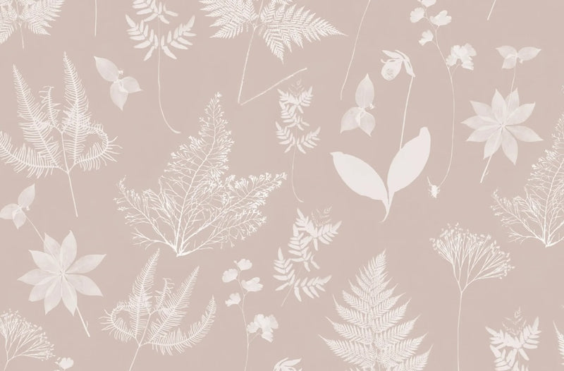 Botanical Plant Boho Wallpaper