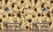 Glasses With Cocktail Textured Bar Wallpaper